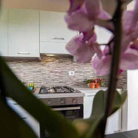 Falcone 4* Alvignano